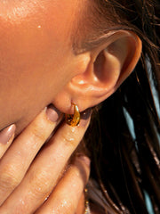 Graceful Dome Small Ohrringe Gold