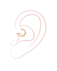 Simple Hoop Titan Piercing Gold
