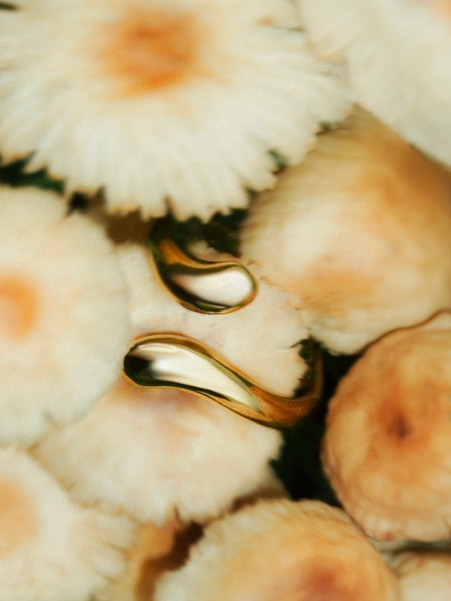 Premium Ring Gold