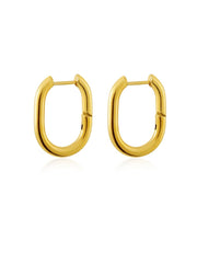 Absolute Appeal Ohrringe Gold-Shopicrush